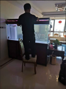 太原市内鱼缸清洗，上门服务清洗，技术专业